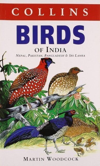Collins Birds of India (Collins Pocket Guide) (Paperback)