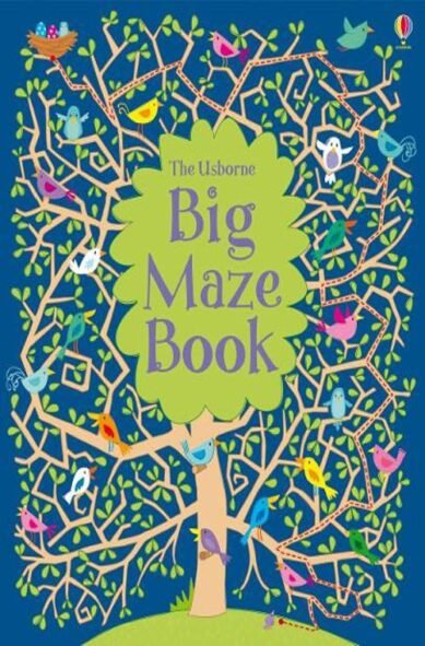 Big Maze Book: (Maze Books)